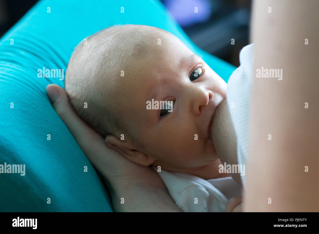 Ritratto della bella faccia bambino mentre la madre di allattamento al seno il suo simpatico bambino guardando con occhi blu e succhiare mamma mammella, fame baby Foto Stock