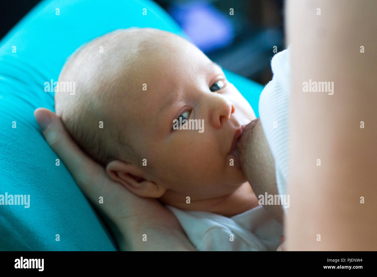 Ritratto di bella faccia bambino mentre la madre di allattamento al seno il suo simpatico bambino guardando con occhi blu e succhiare mamma mammella, fame baby close up Foto Stock