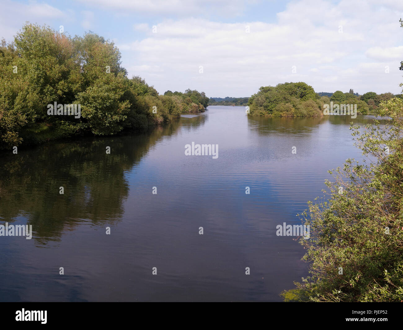 Attenborough Riserva Naturale, Nottinghamshire Foto Stock