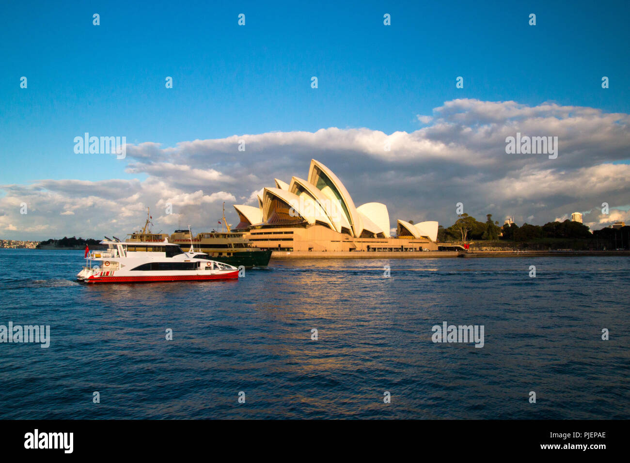 Sydney Opera House at Bennelong Point sul Porto di Sydney pomeriggio golden ore di luce, barca di lusso nella parte anteriore, Australia Foto Stock