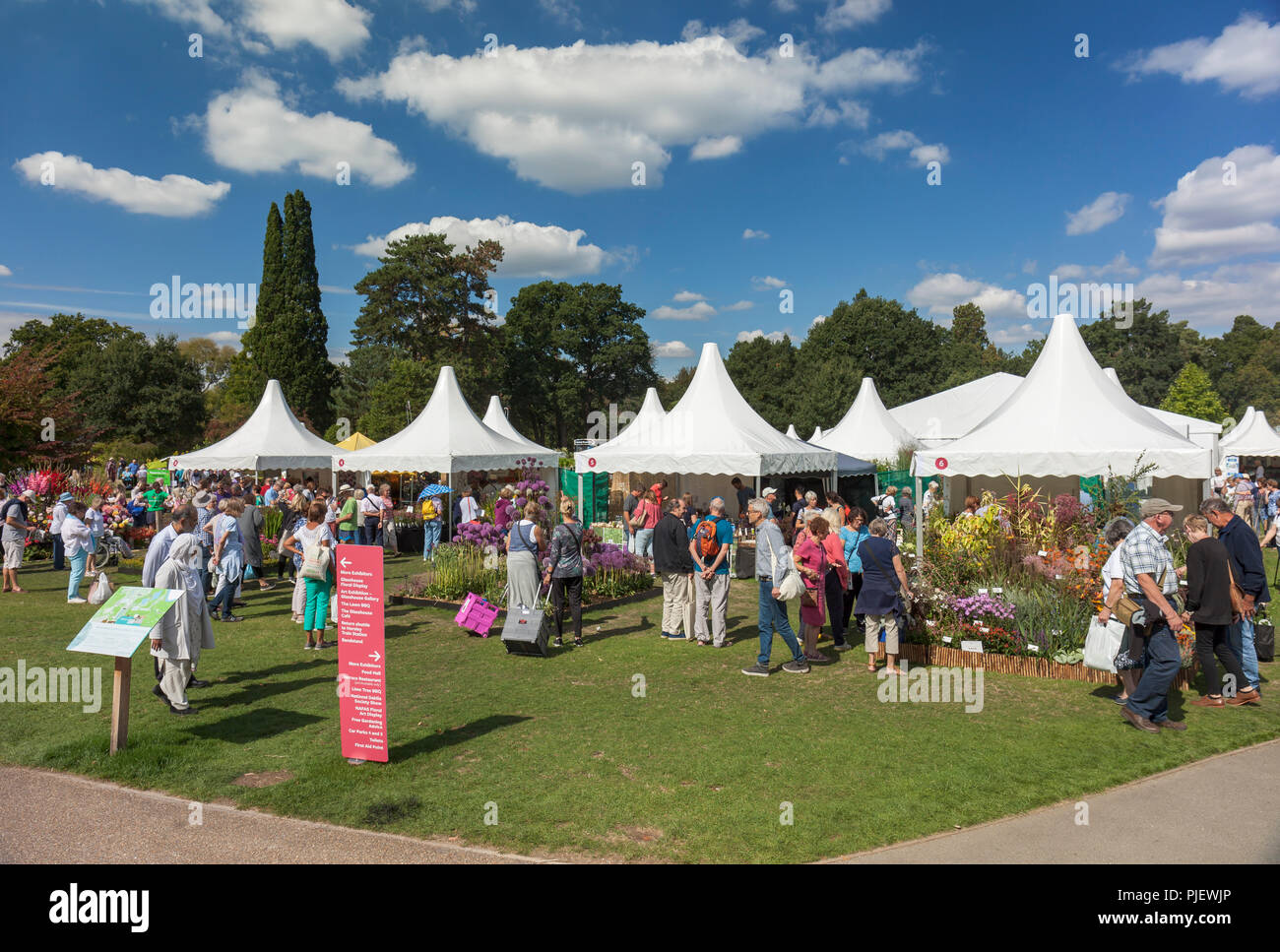 Giardino RHS Wisley, Surrey, Inghilterra, Regno Unito. Il 6 settembre 2018. Le persone che si godono il caldo sole della RHS Wisley flower show. © Tony Watson/Alamy Live News Foto Stock