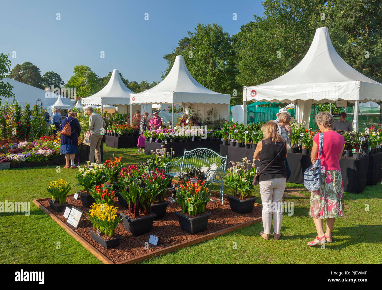 Giardino RHS Wisley, Surrey, Inghilterra, Regno Unito. Il 6 settembre 2018. Le persone che si godono il caldo sole della RHS Wisley flower show. © Tony Watson/Alamy Live News Foto Stock