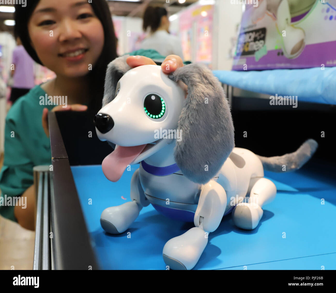 Tokyo, Giappone. 5 Sep, 2018. In Giappone il toymaker Tommy il dipendente  dimostra il nuovo cane robot a forma di 'Zoomer-Miniature Bassotto' in una  due giorni di fiera del giocattolo di Tokyo