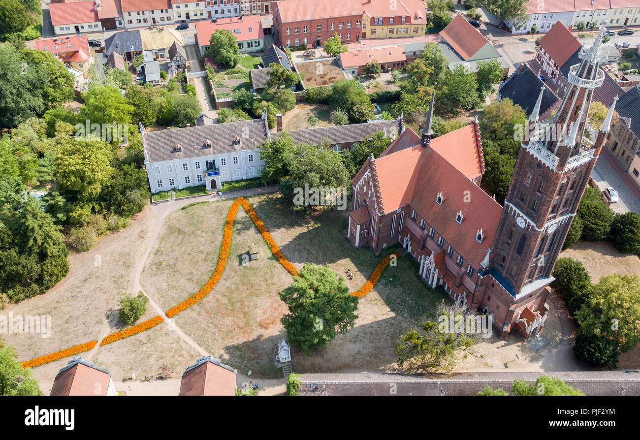 29.08.2018, Sassonia-Anhalt, Woerlitz: l'illustrazione 'fioritura curva potenziale' dall'artista Peter Baldinger nel giardino tra la cucina e la costruzione della casa della principessa di Wörlitz Castello, prese con un drone. Per la natura del regno giardino di Dessau-Wörlitz, l'artista ha progettato due interventi intitolata "Amor sucht psiche' come un contrappunto di Angelika Kauffmann mostra. La curva mostra il corso del potenziale di azione dei neuroni durante la trasmissione di eccitazione. Circa 10.000 Le calendule sono stati piantati per questo scopo. La Kauffmann mostra può essere visto fino al 21 Ott Foto Stock