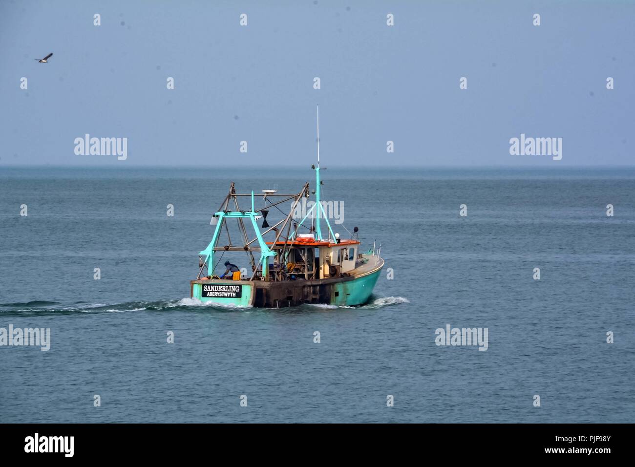 Spiaggia del Nord Galles aberaeron REGNO UNITO Welsh una barca da pesca solo della spiaggia del nord , il controllo della sua lobster pot. Foto Stock