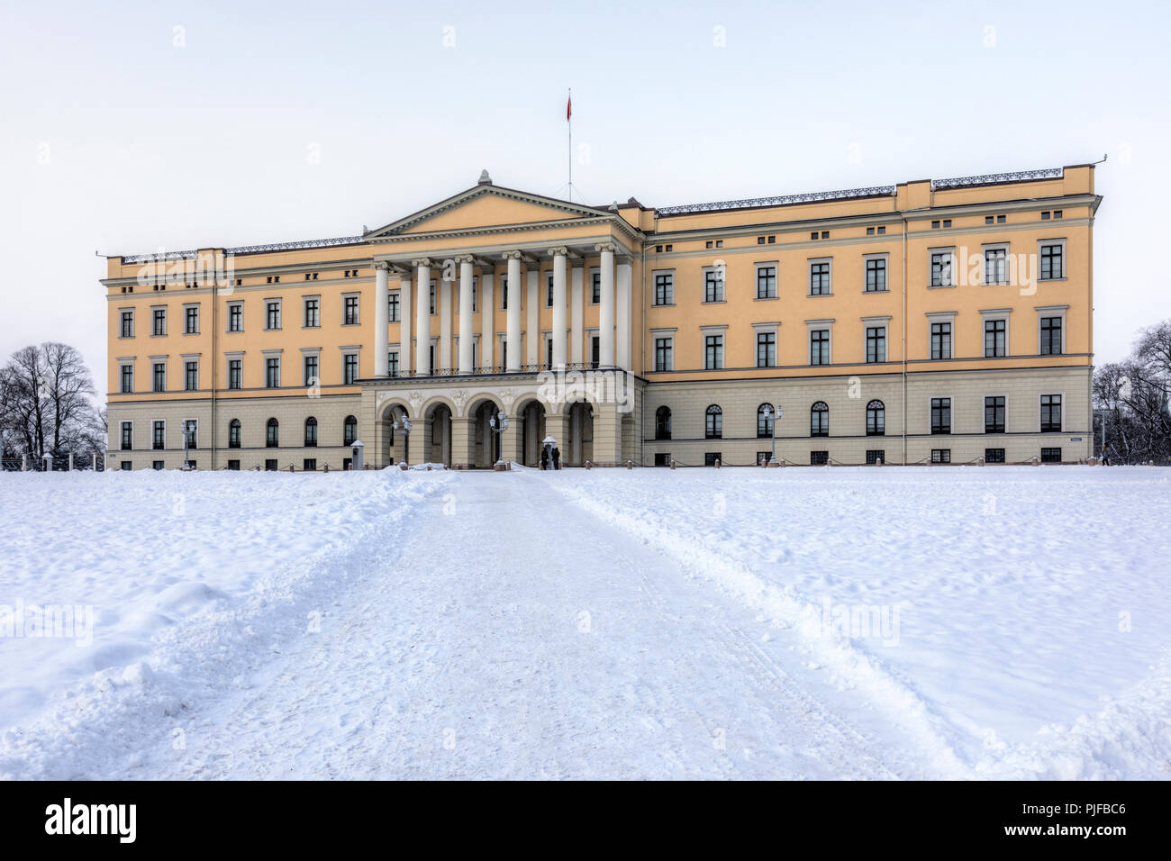 Oslo, Royal Palace, Norvegia, Scandinavia, Europa Foto Stock