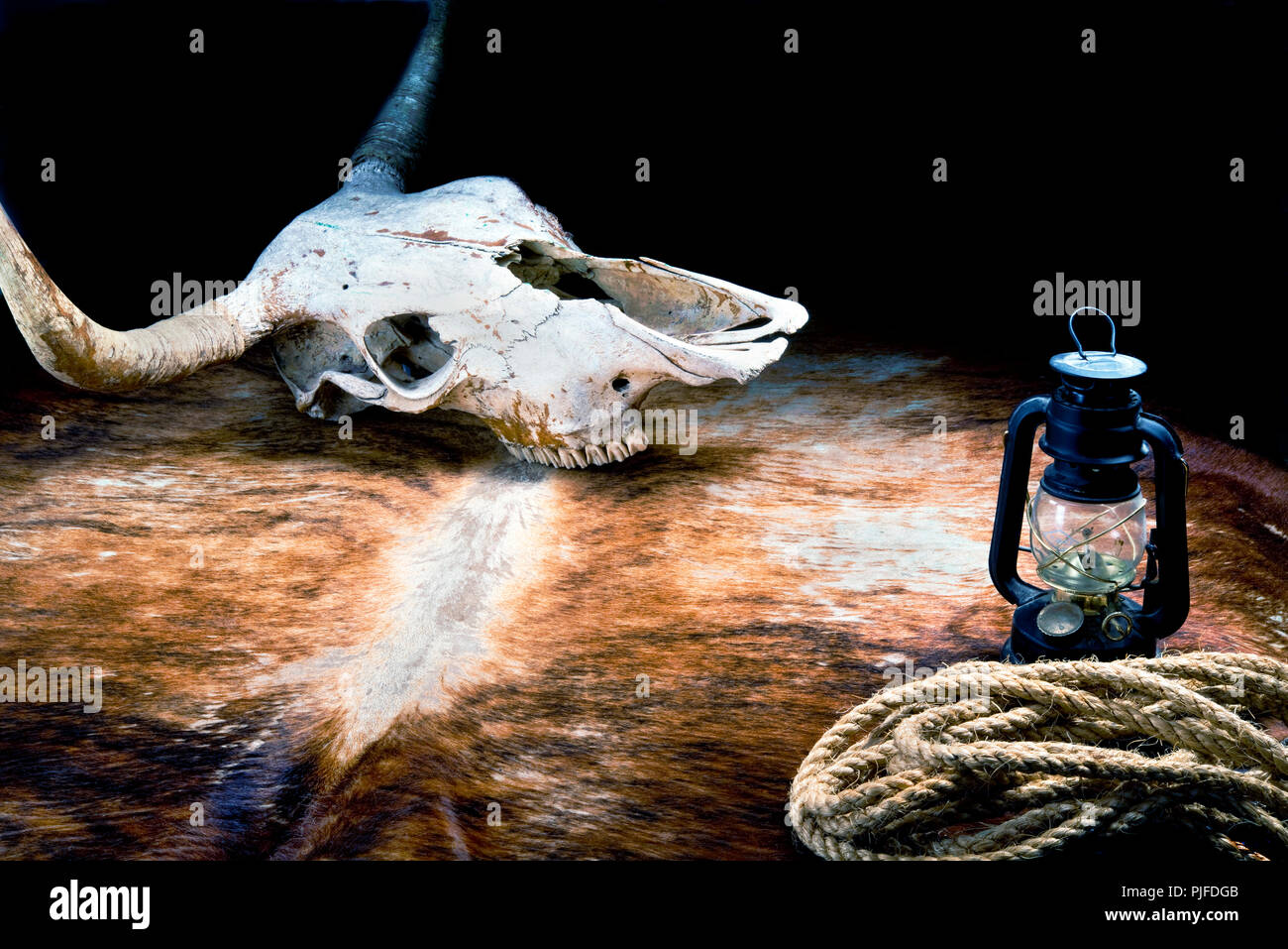 Il vecchio West volte con teschio di mucca,corda e lanterna di carbone con una stanza per il tipo. Foto Stock