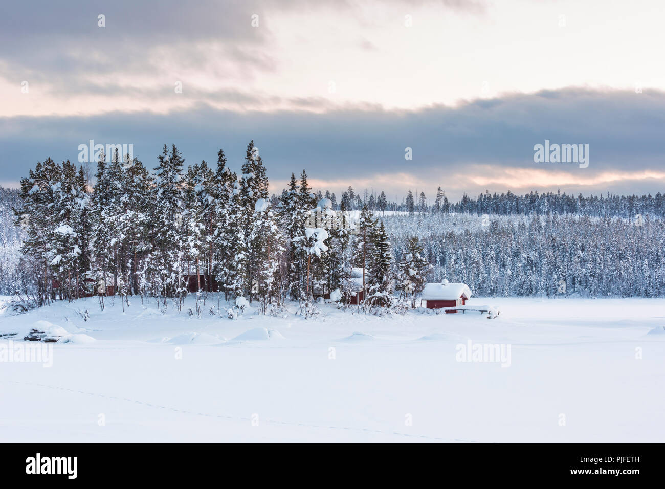 Paesaggio invernale con vecchi fienili nel bosco innevato con abeti rossi e piccola montagna in background, contea di Jokkmokk, Lapponia svedese, Svezia Foto Stock