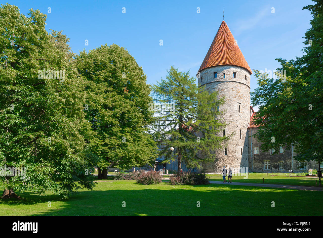 Tallinn il parco giardino, vista su tutta la città parco e giardini verso uno dei nove torri collegate da città bassa parete nel centro di Tallinn, Estonia. Foto Stock