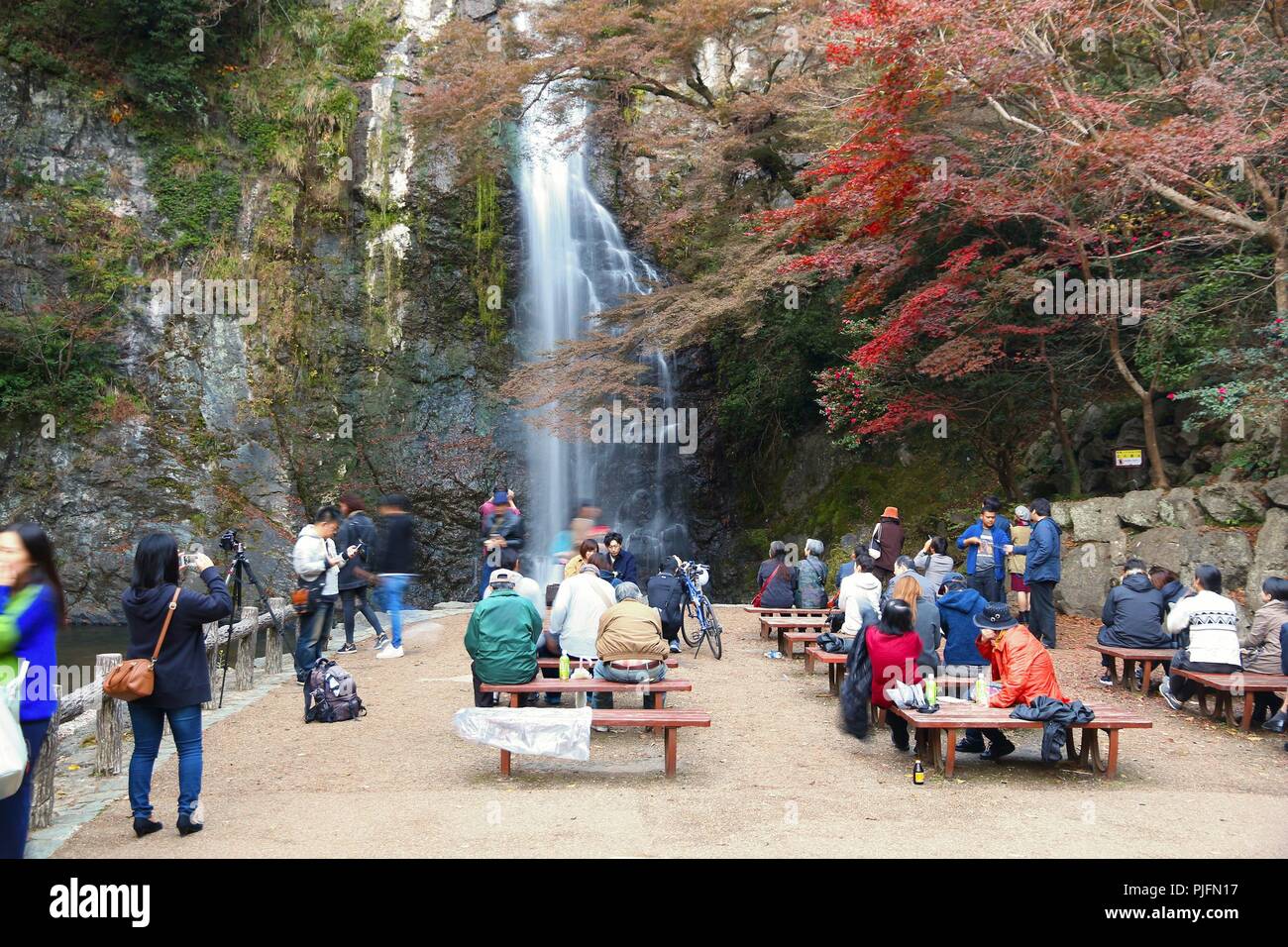 MINOO, Giappone - 22 novembre 2016: la gente visita Meiji no Mori Mino Quasi-National parco vicino Osaka, Giappone. Il parco è famoso per le sue spettacolari autunno Foto Stock