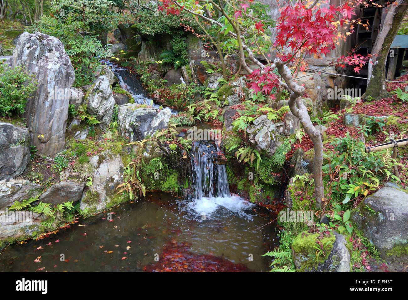 Giardino giapponese in autunno - Isuien Giardino di Nara, Giappone. Il fogliame di autunno. Foto Stock