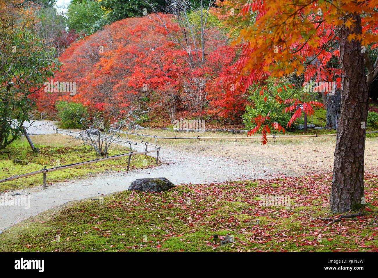 Giardino giapponese in autunno - Isuien Giardino di Nara, Giappone. Il fogliame di autunno. Foto Stock