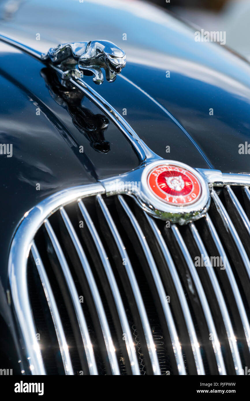 Saltando jaguar ornamento del cofano su una Jaguar XK 150 Foto Stock