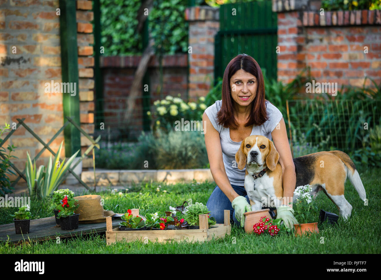 Età media della donna con il suo cane facendo qualche giardinaggio in cortile Foto Stock