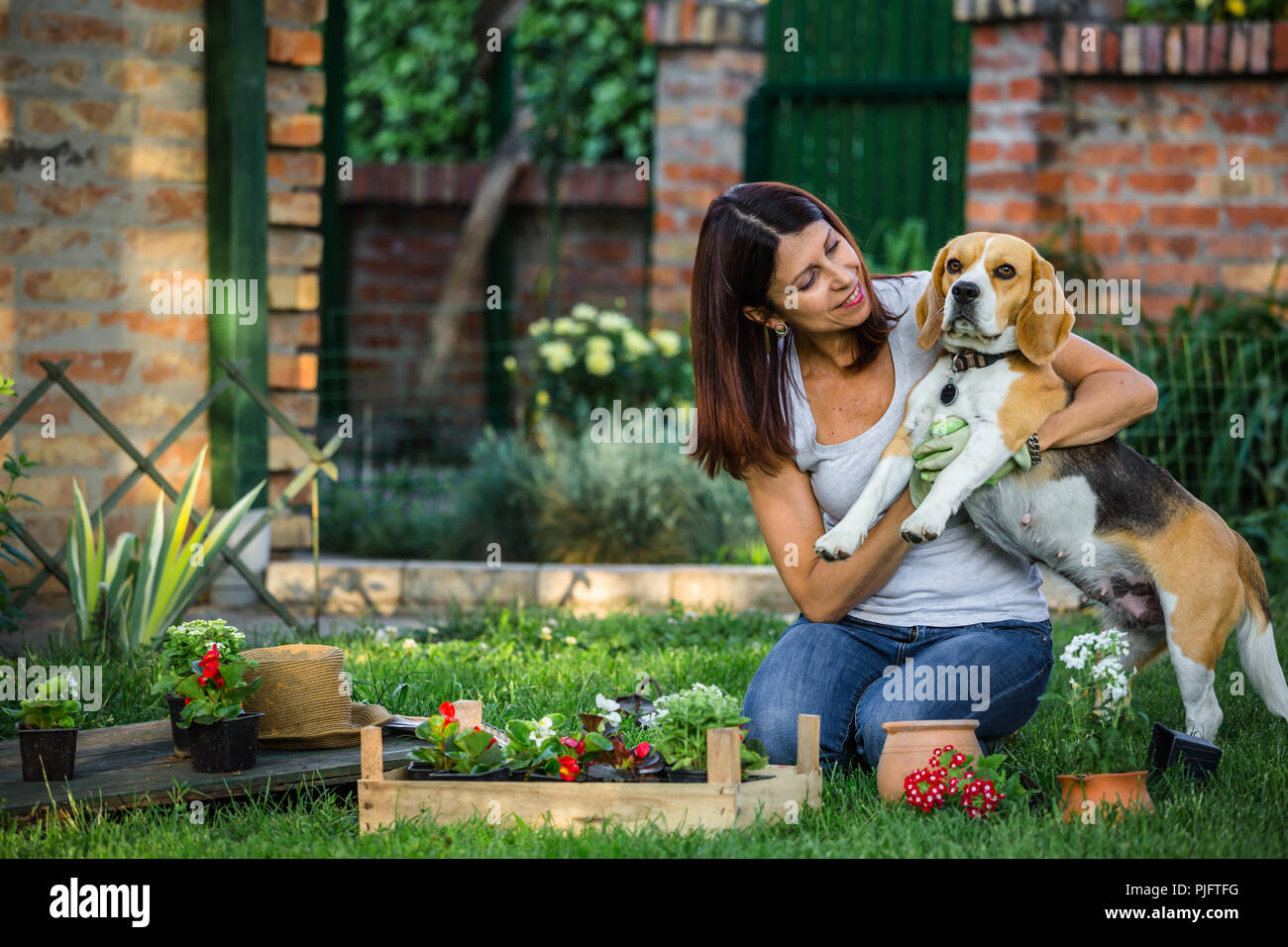 Le piace trascorrere del tempo con il suo cane in cortile Foto Stock