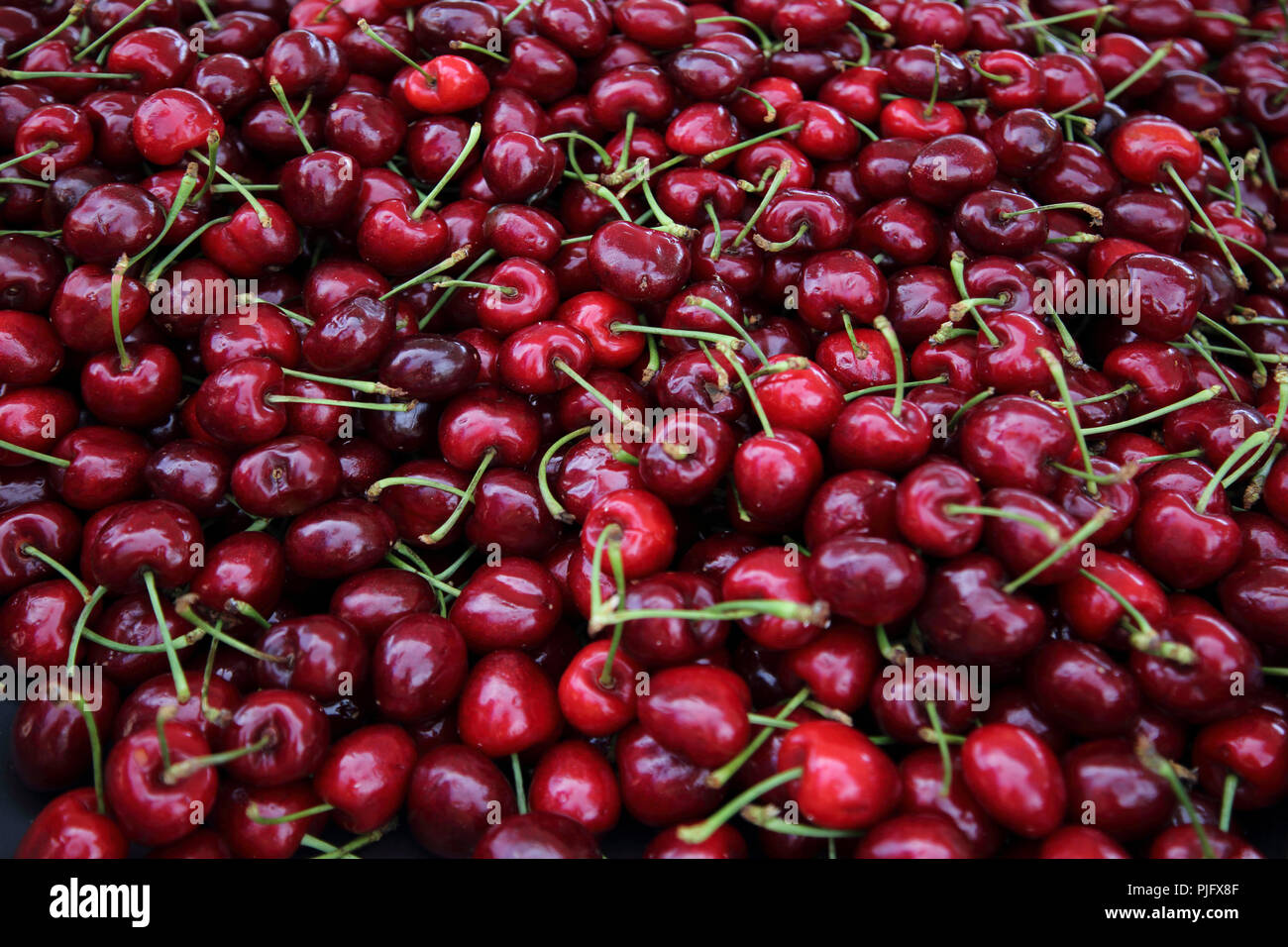 Vouliagmeni Atene Grecia Saturday Market Close Up di ciliege rosse Foto Stock
