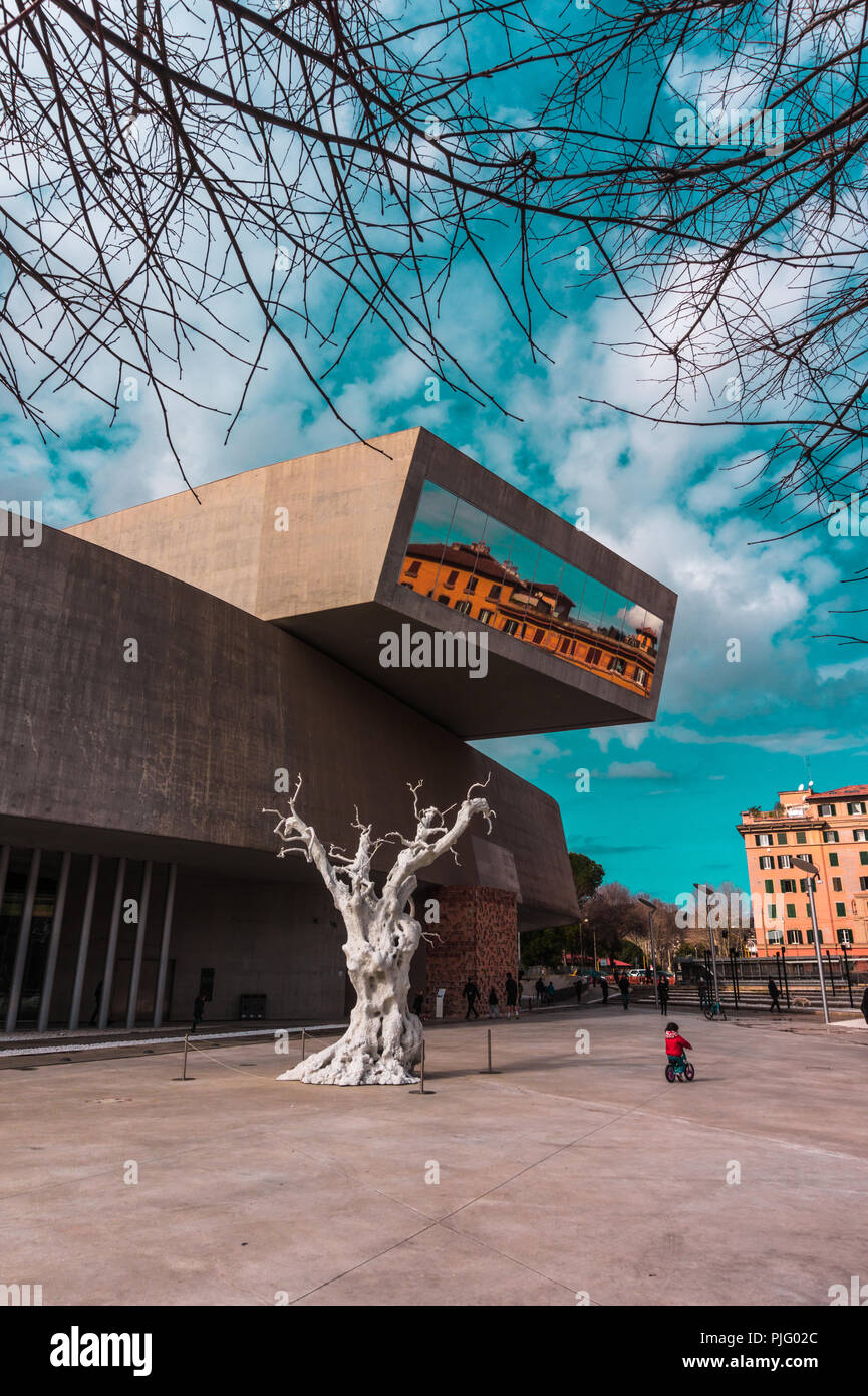 Albero Bianco presso il cortile del MAXXI Museo Nazionale delle Arti del XXI secolo , roma, Italia Foto Stock
