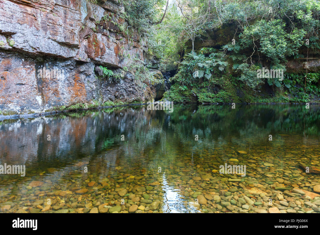 Una laguna con acqua cristallina in mezzo alla giungla della Bolivia Foto Stock