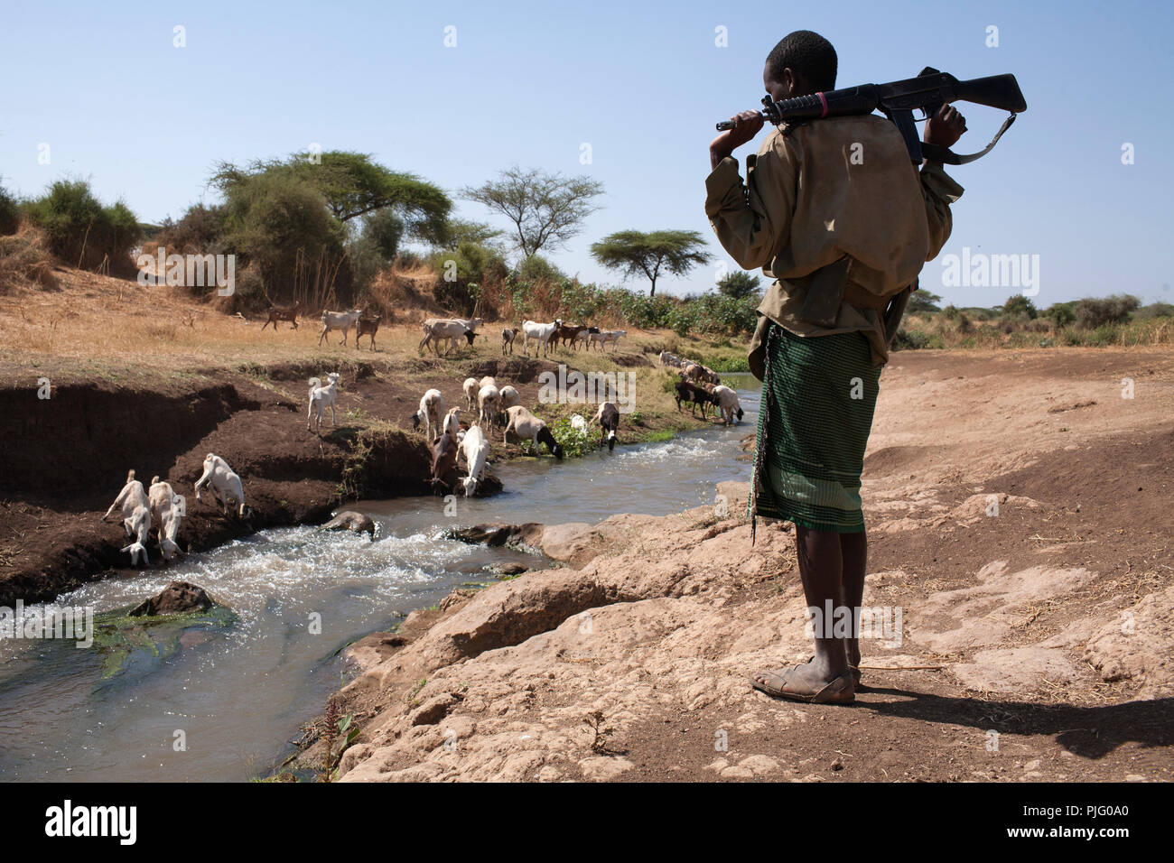 Un Turkana armati giovane veglia sull' allevamento di capre di bere da un fiume vicino a Isiolo, nel nord del Kenya, 28 marzo 2012. Foto Stock