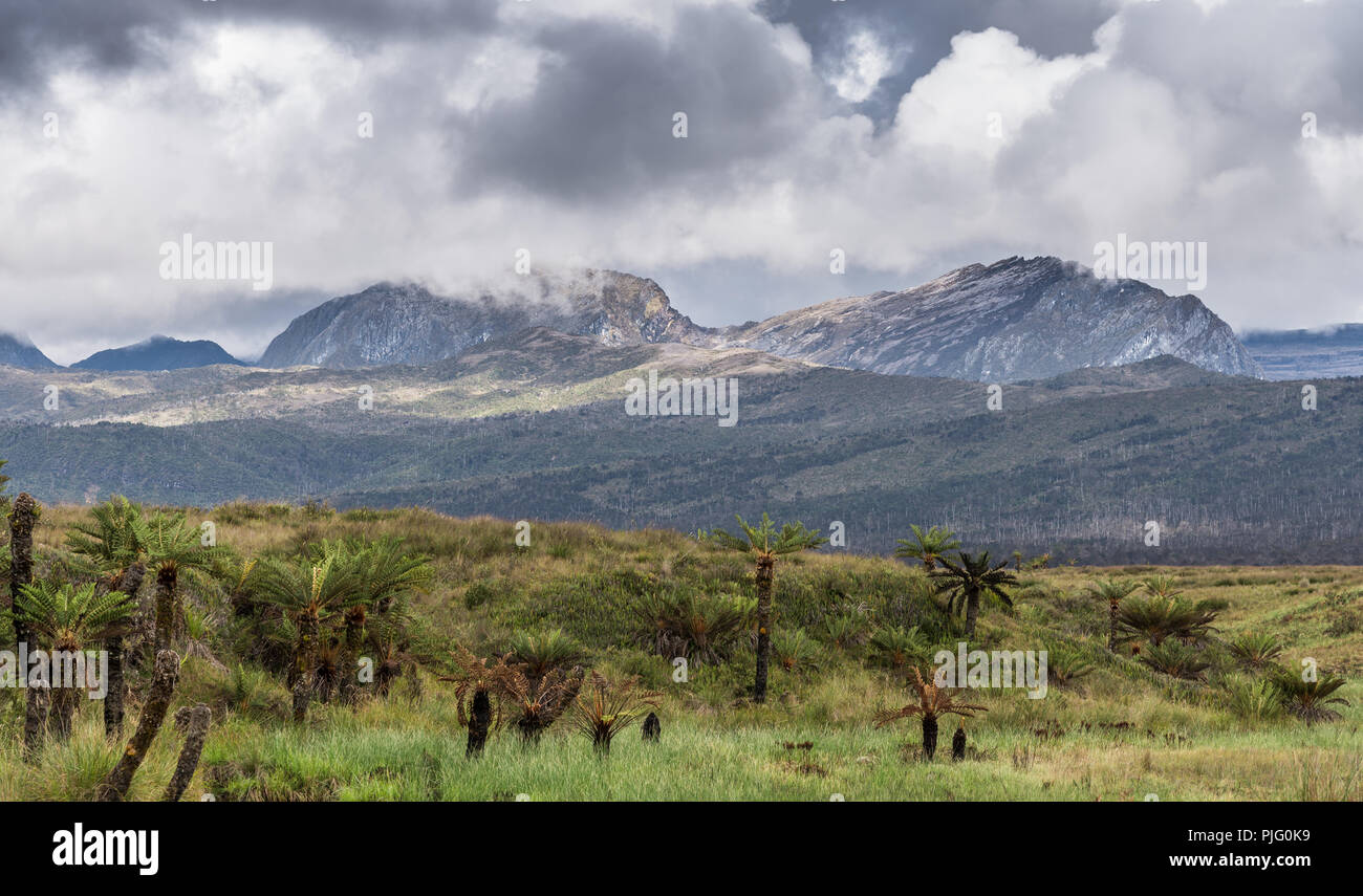 Le montagne della gamma centrale nelle Highlands della Nuova Guinea. Papua, Indonesia. Foto Stock