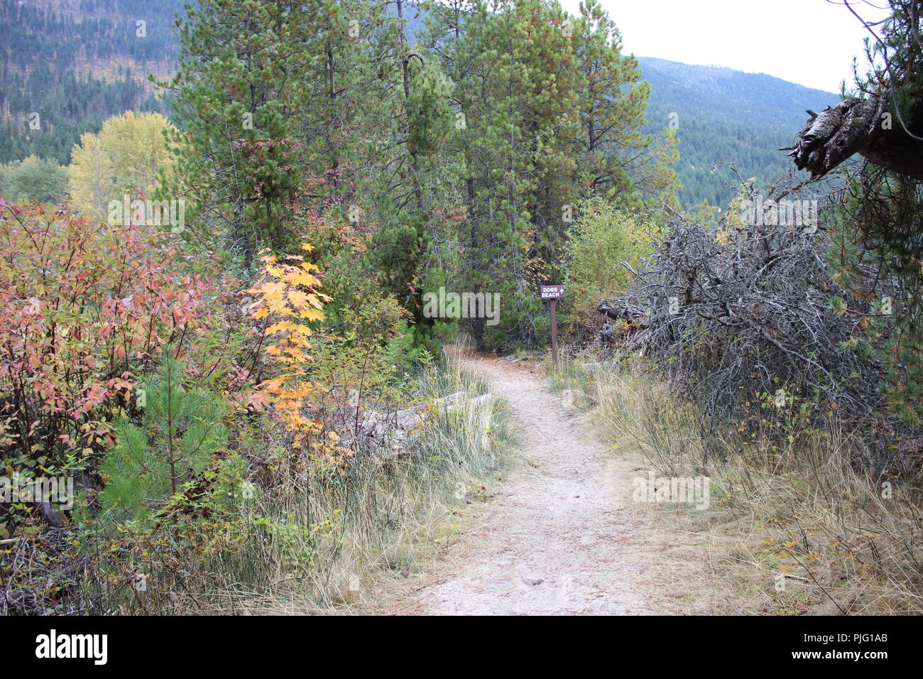 Sentiero in riva al lago in autunno Foto Stock