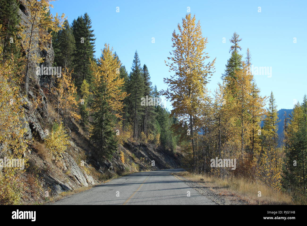 Caduta durante un viaggio in British Columbia Foto Stock