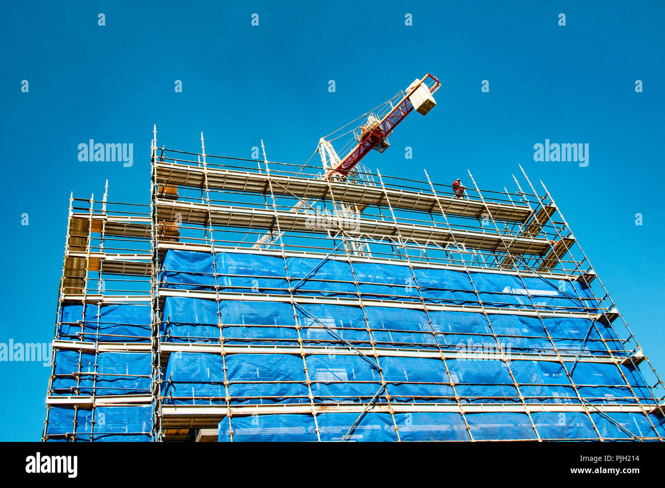 Gosford, Nuovo Galles del Sud, Australia - 4 agosto. 2018: costruzione e costruzione di aggiornamento progressi 116. Un gruppo di lavoro di gru a torre sulle nuove unità abitative edificio Foto Stock