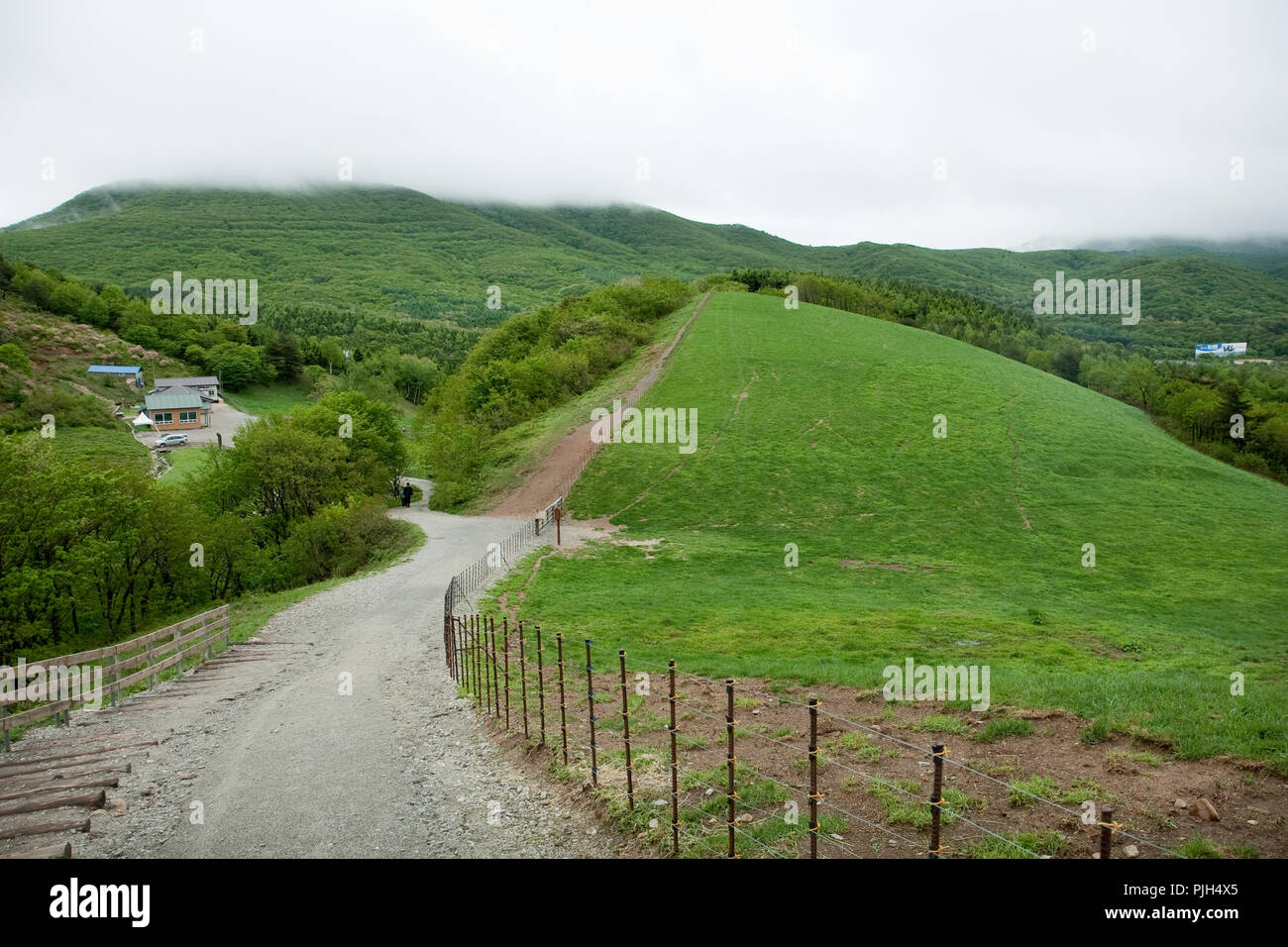 Una vista panoramica di Daegwallyeong che è famosa per i terreni agricoli e di allevamento del bestiame Foto Stock