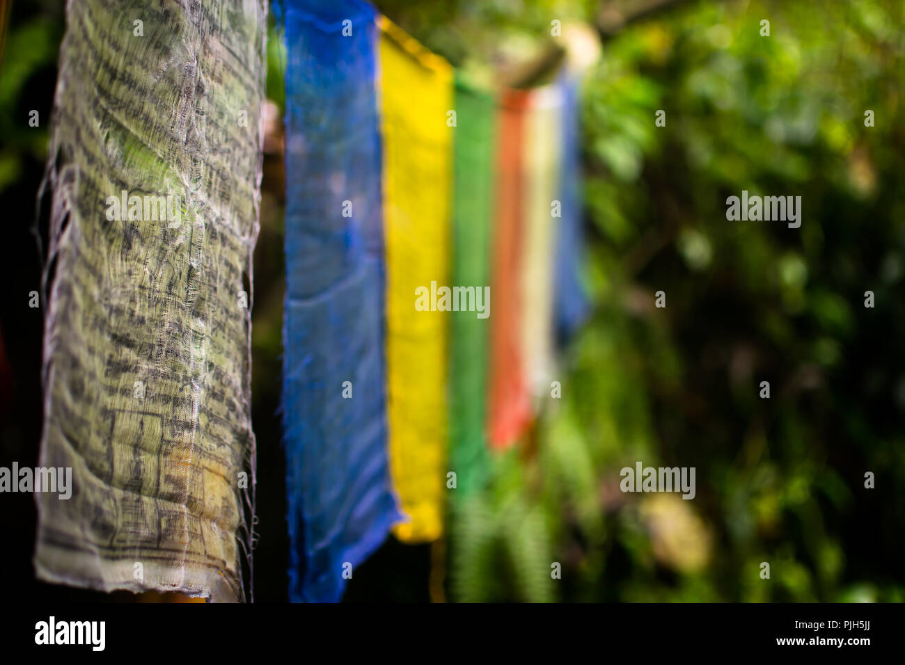 Colorato la preghiera buddista bandiere sfondo Foto Stock