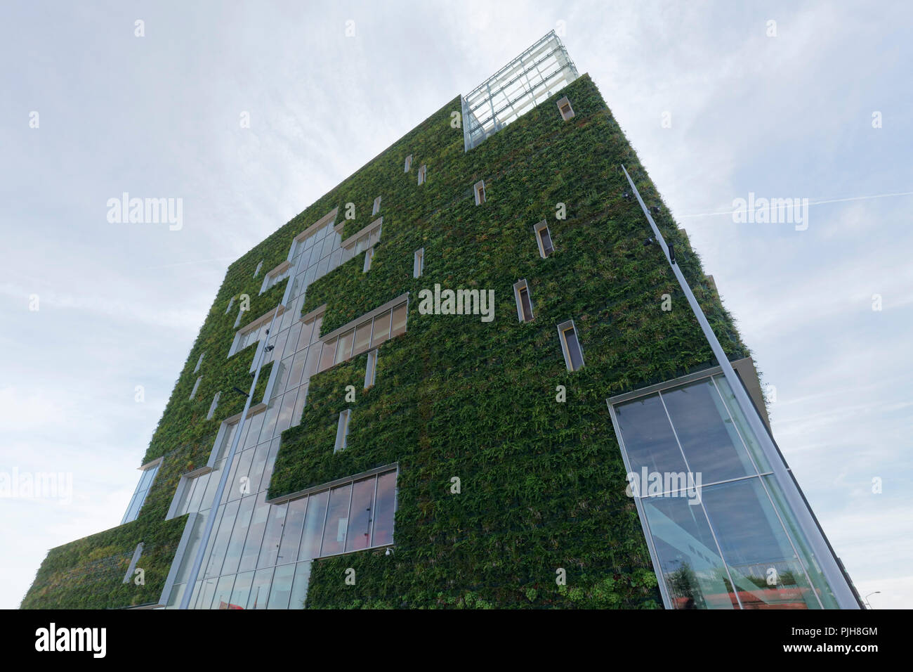 Edificio pubblico piantati con facciata, edilizia ecologica, Municipio nuovo Venlo, Limburgo, Paesi Bassi Foto Stock