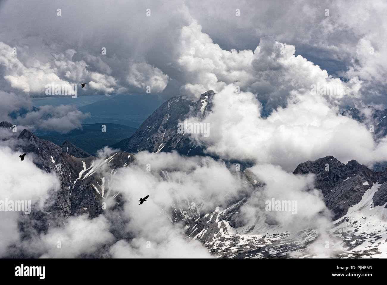 Con vista panoramica delle Alpi Bavaresi dal Zugspitze, la montagna più alta del paese e la casa di tre ghiacciai e GermanyÕs località sciistica più alta. Foto Stock