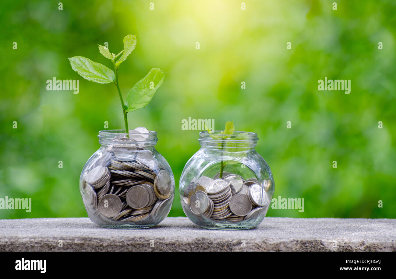 Albero di monete il vasetto di vetro di crescita della pianta da monete al di fuori del vaso di vetro sul verde sfocata fondo naturale di risparmiare denaro e di investimento Concetto finanziario Foto Stock