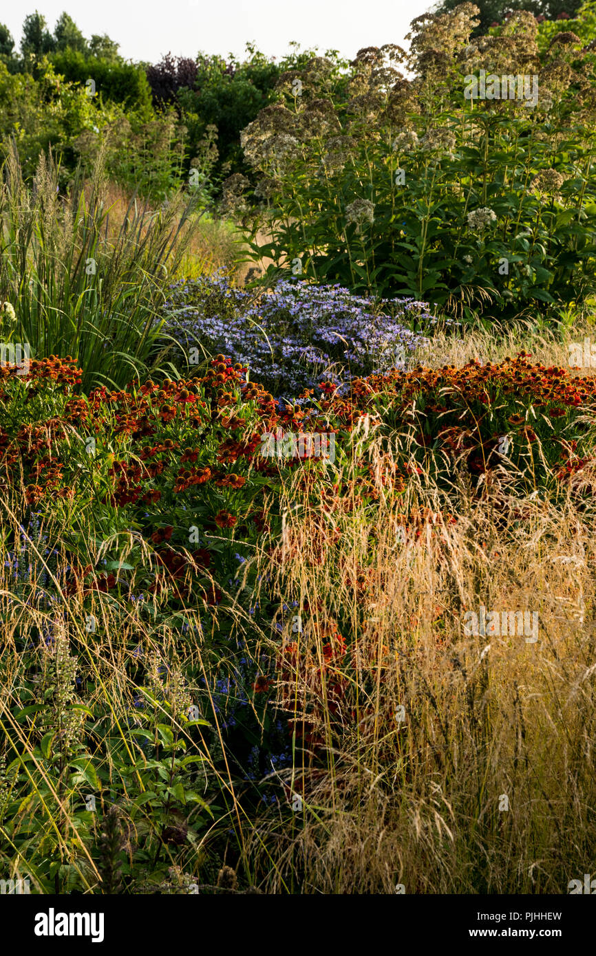 Una combinazione di piante perenni e Graminacee ornamentali in un grande giardino Foto Stock