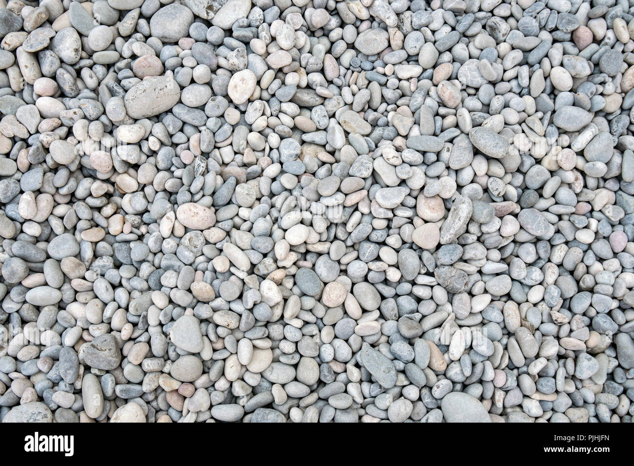 Daily Treasures Grandi ciottoli della spiaggia grigio scuro delle rocce della pittura, rocce naturali del fiume con superficie liscia per le arti e i mestieri