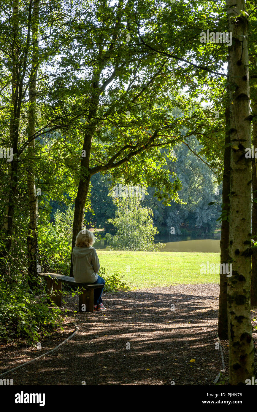 Boschi di alto Country Park, Colchester, Essex. Foto Stock