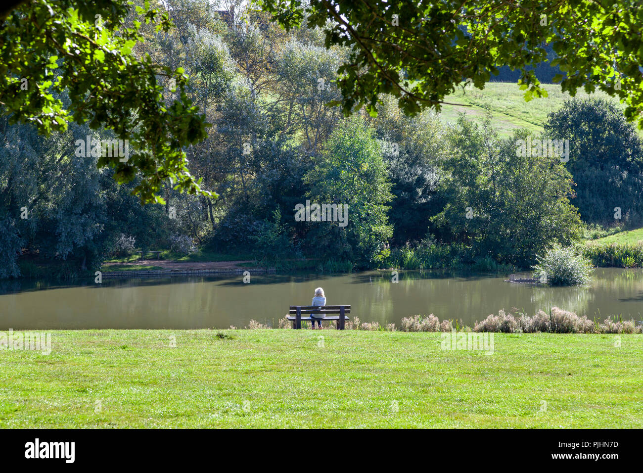 Boschi di alto Country Park, Colchester, Essex. Foto Stock