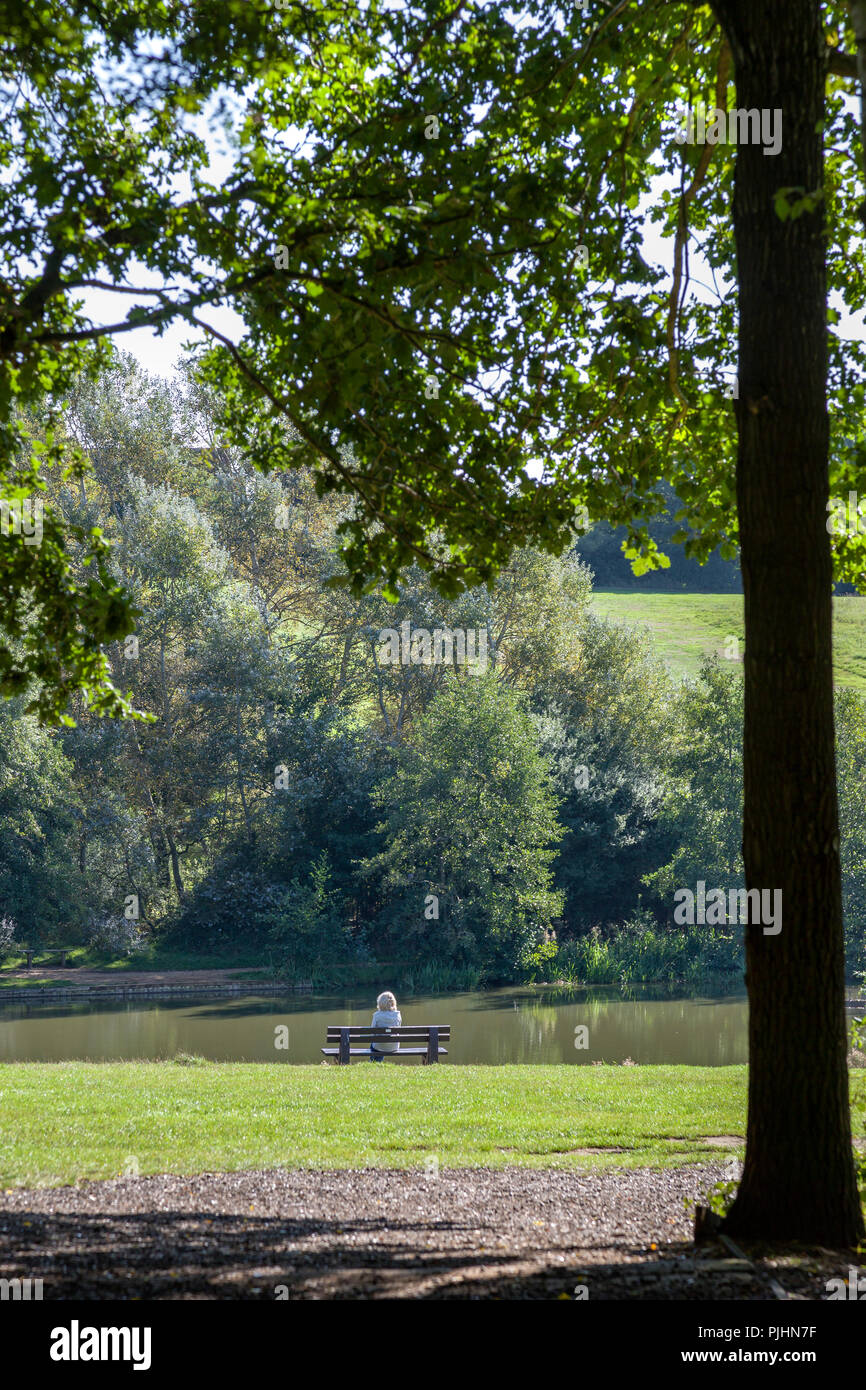 Boschi di alto Country Park, Colchester, Essex. Foto Stock