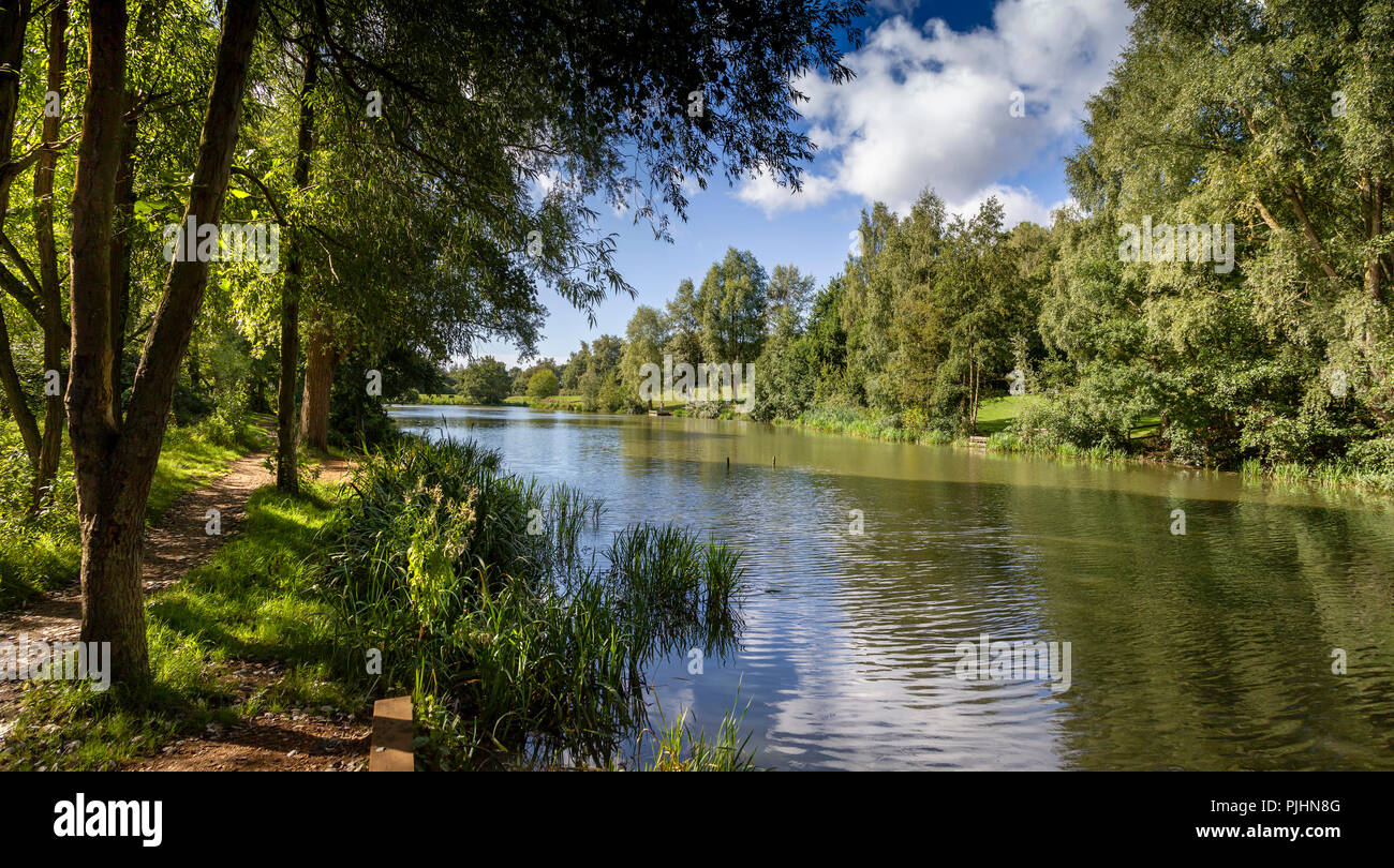 Boschi di alto Country Park, Colchester, Essex. Foto Stock