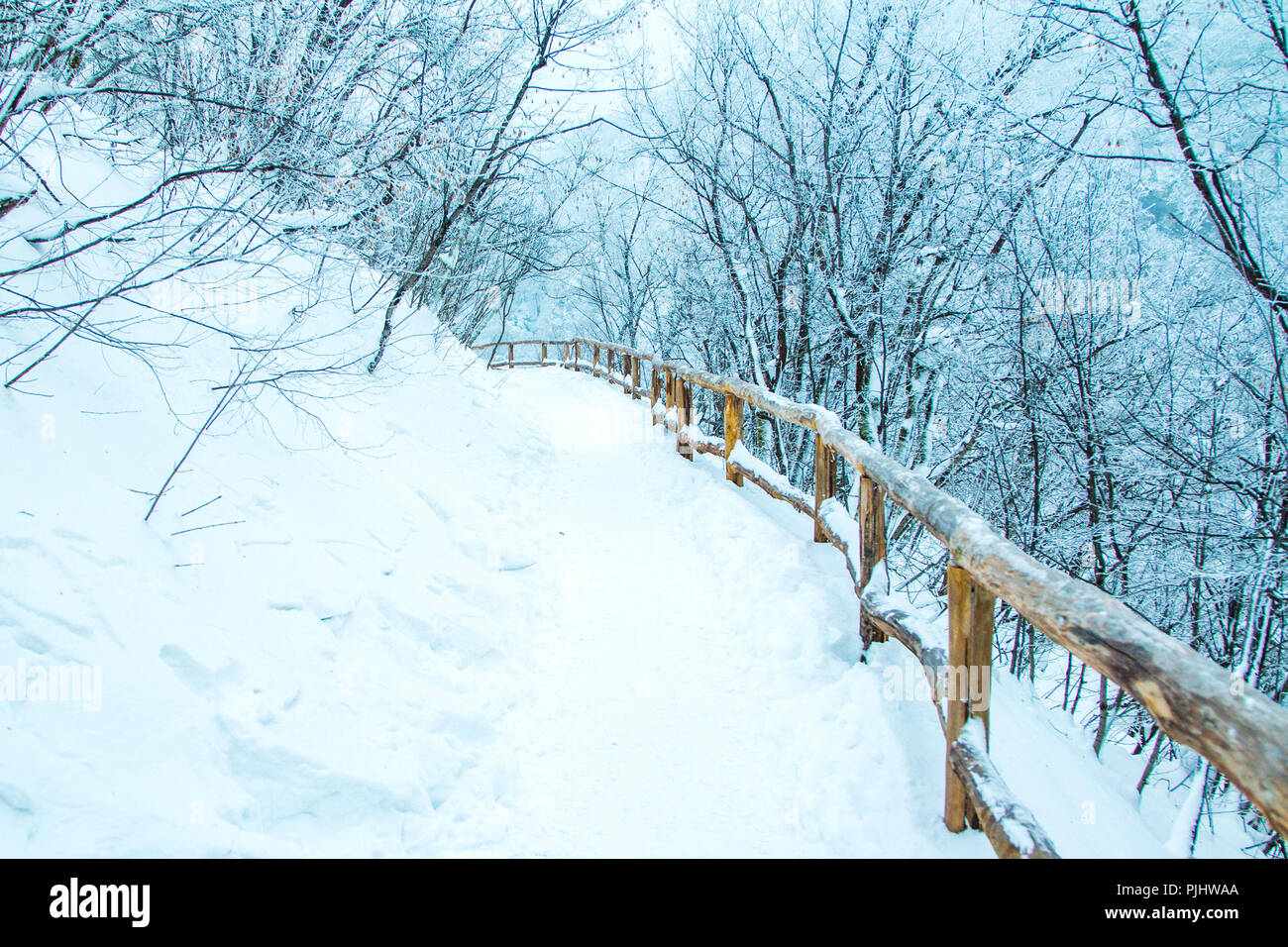 Il sentiero sotto la neve nel Parco Naturale dei Laghi di Plitvice, Croazia Foto Stock