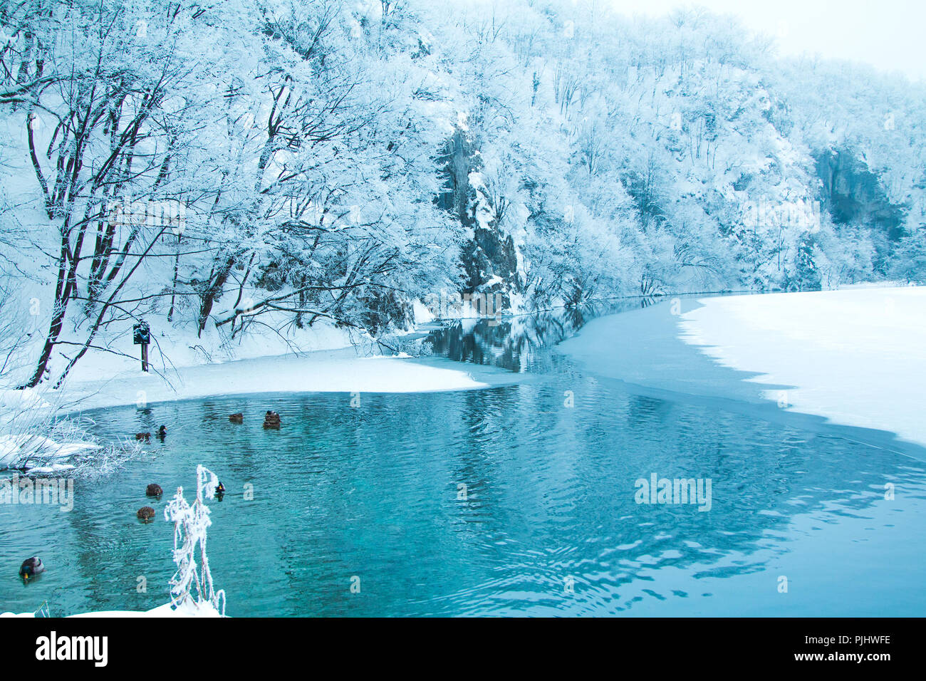 La riflessione di alberi sotto la neve in inverno sul lago nel parco naturale dei laghi di Plitvice, Croazia Foto Stock