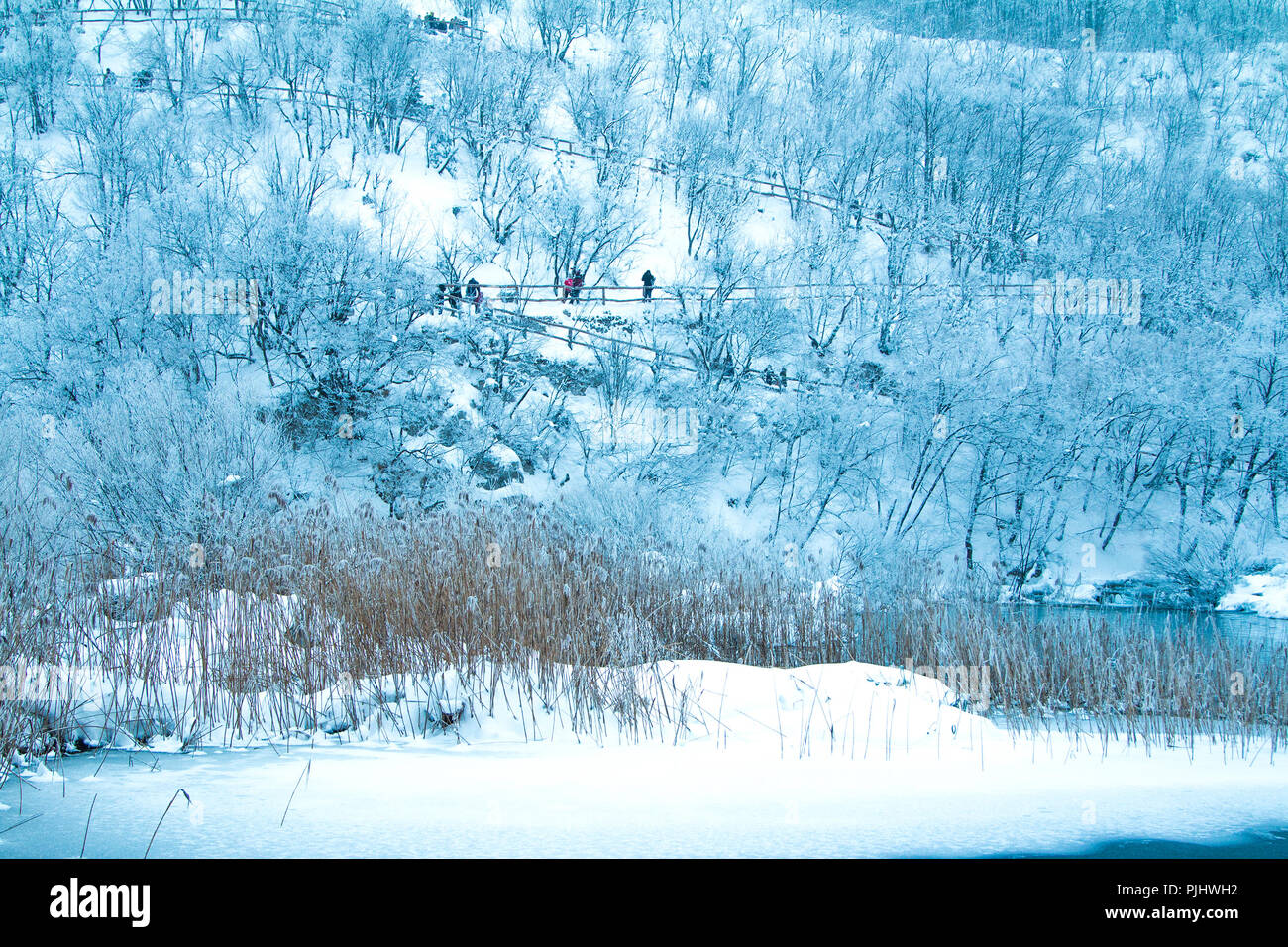Vista panoramica sul lago ghiacciato nel parco naturale dei laghi di Plitvice, Croazia Foto Stock