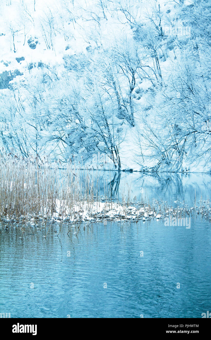 La riflessione di alberi sotto la neve in inverno sul lago nel parco naturale dei laghi di Plitvice, Croazia Foto Stock
