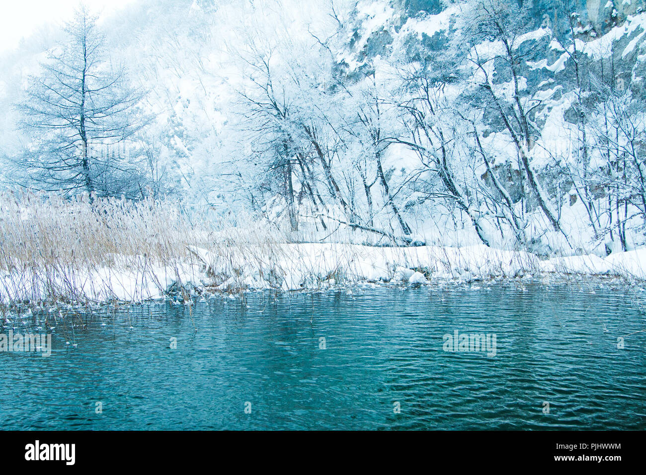 La riflessione di alberi sotto la neve in inverno sul lago nel parco naturale dei laghi di Plitvice, Croazia Foto Stock