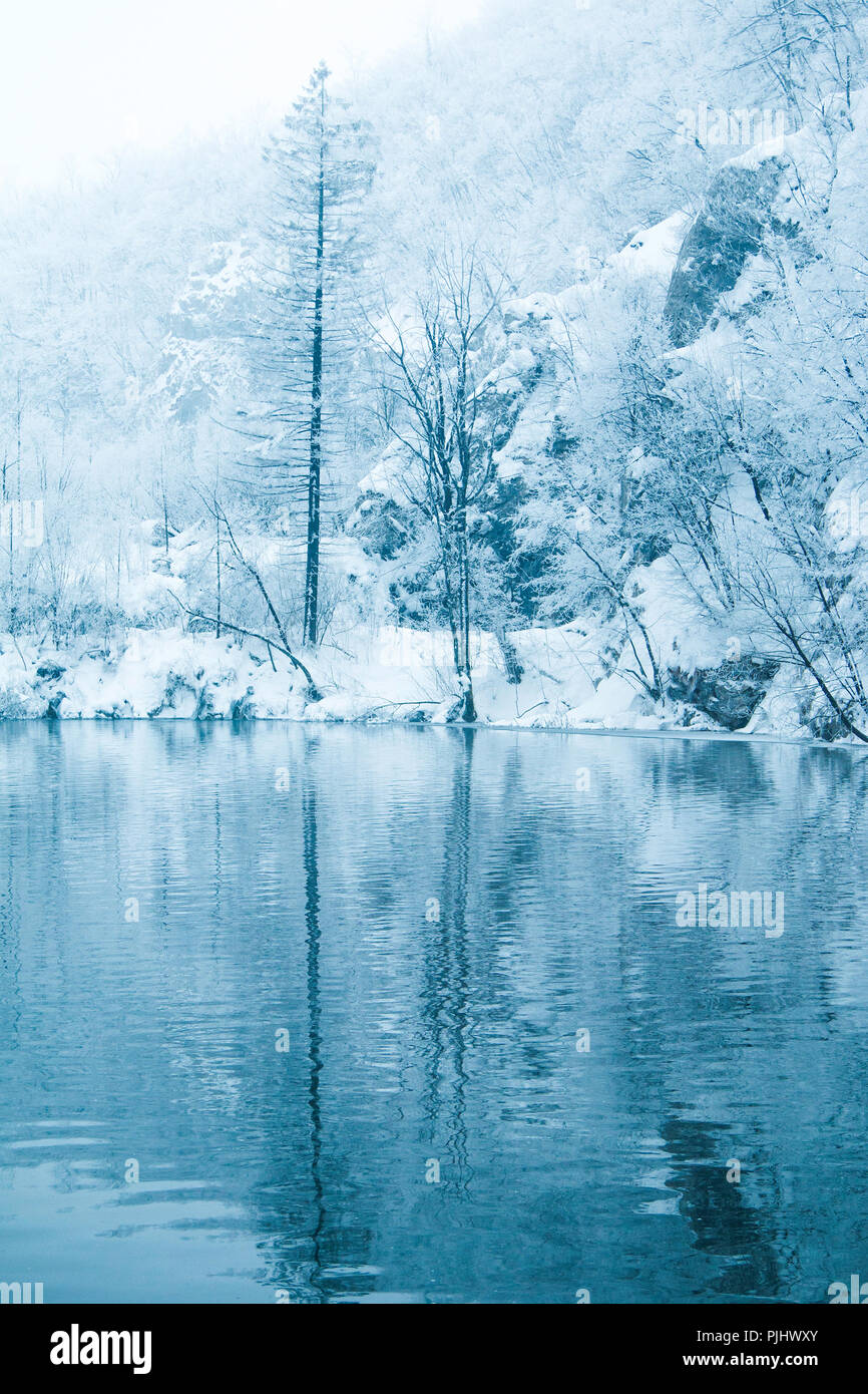 La riflessione di alberi sotto la neve in inverno sul lago nel parco naturale dei laghi di Plitvice, Croazia Foto Stock