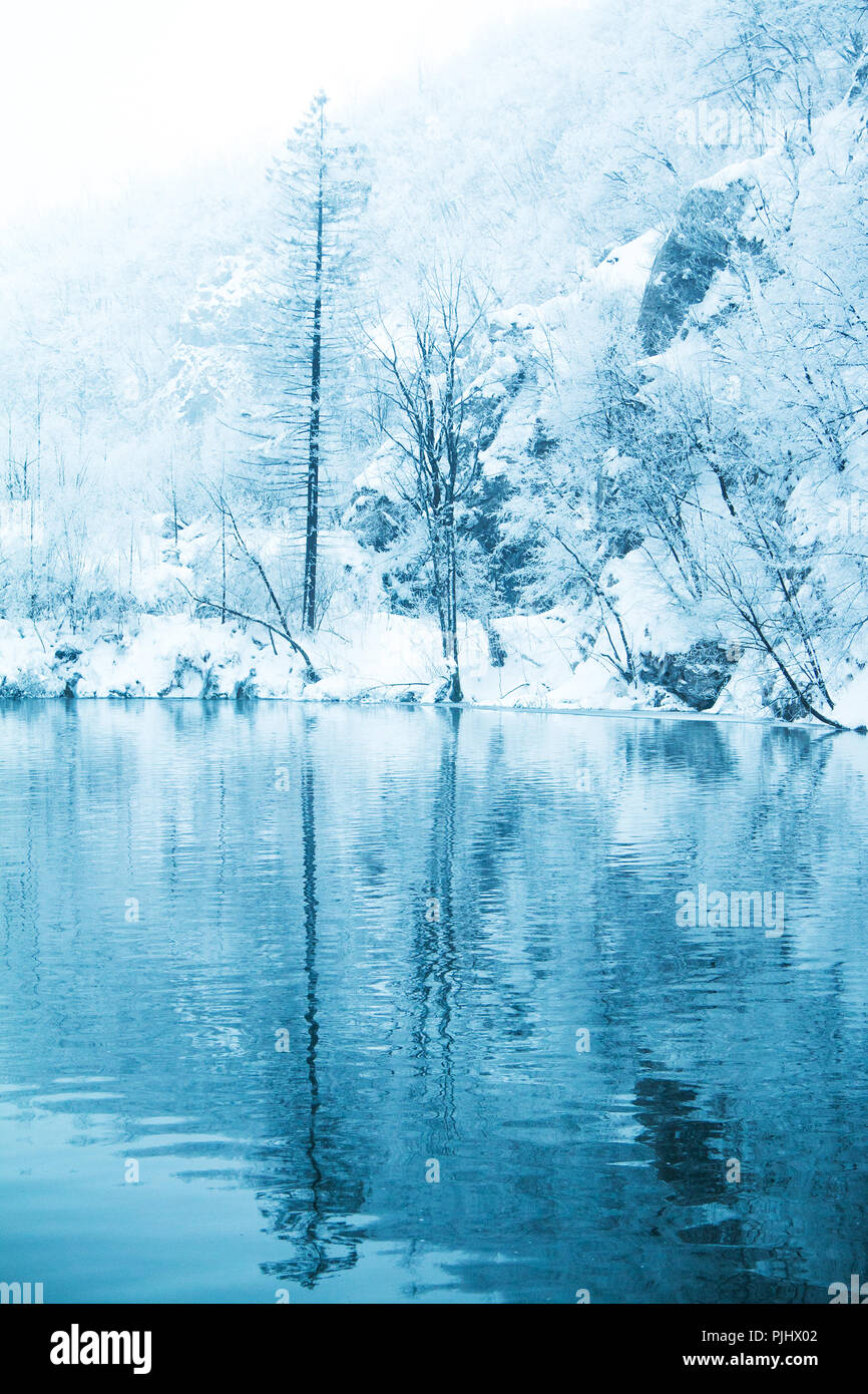 La riflessione di alberi sotto la neve in inverno sul lago nel parco naturale dei laghi di Plitvice, Croazia Foto Stock