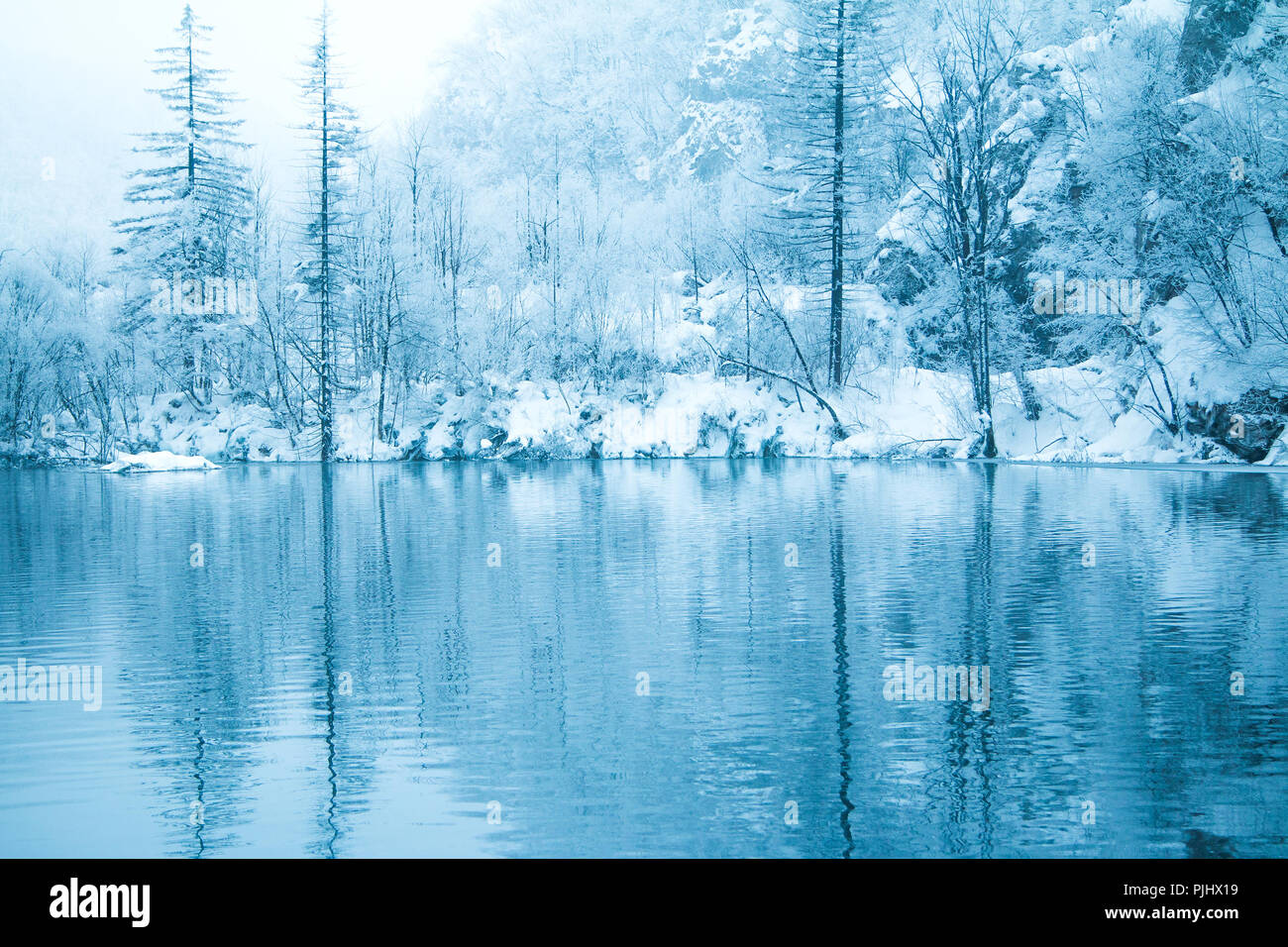 La riflessione di alberi sotto la neve in inverno sul lago nel parco naturale dei laghi di Plitvice, Croazia Foto Stock