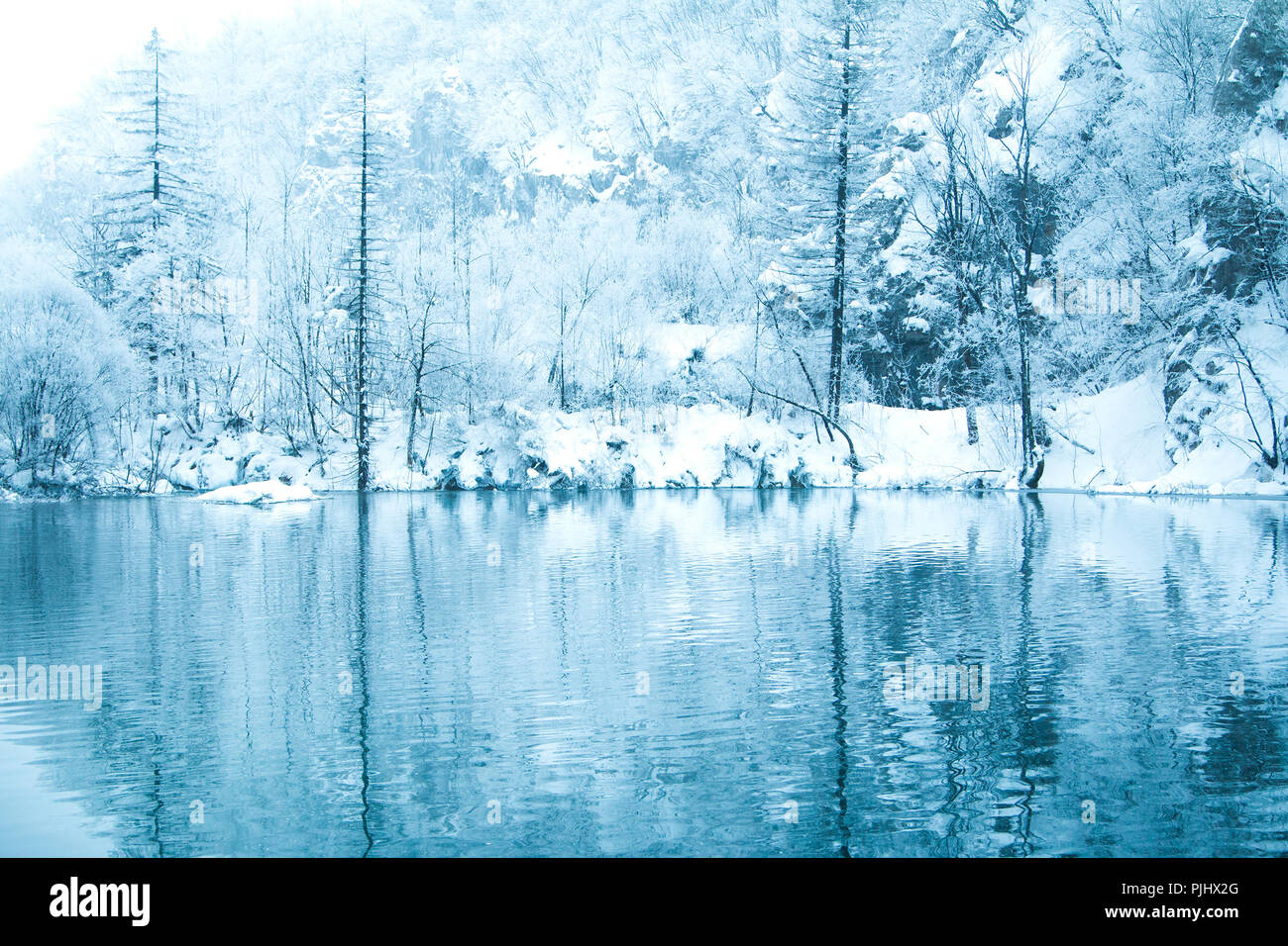 La riflessione di alberi sotto la neve in inverno sul lago nel parco naturale dei laghi di Plitvice, Croazia Foto Stock