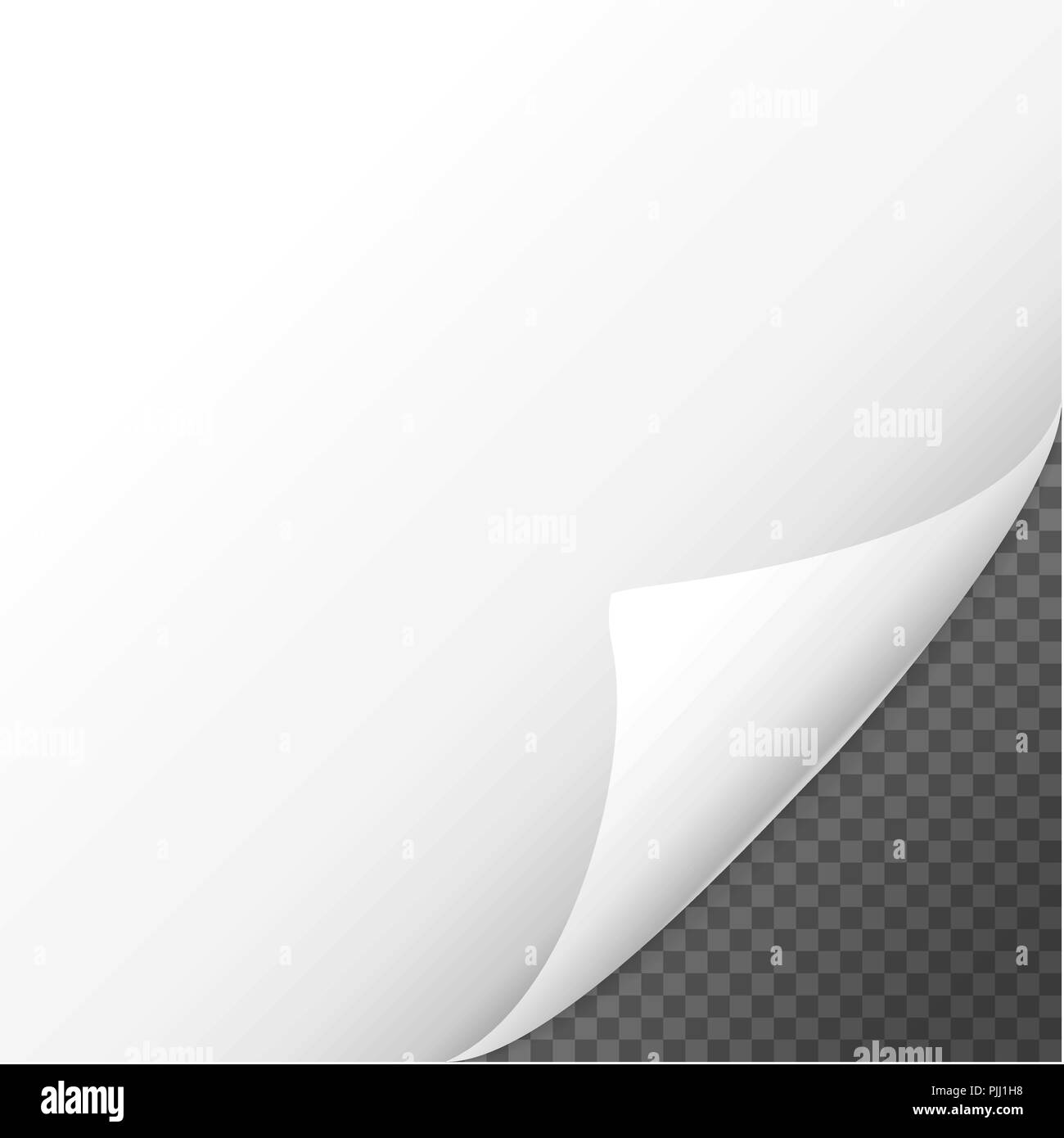 Pagina arricciata effetto ombra sul foglio bianco Illustrazione Vettoriale