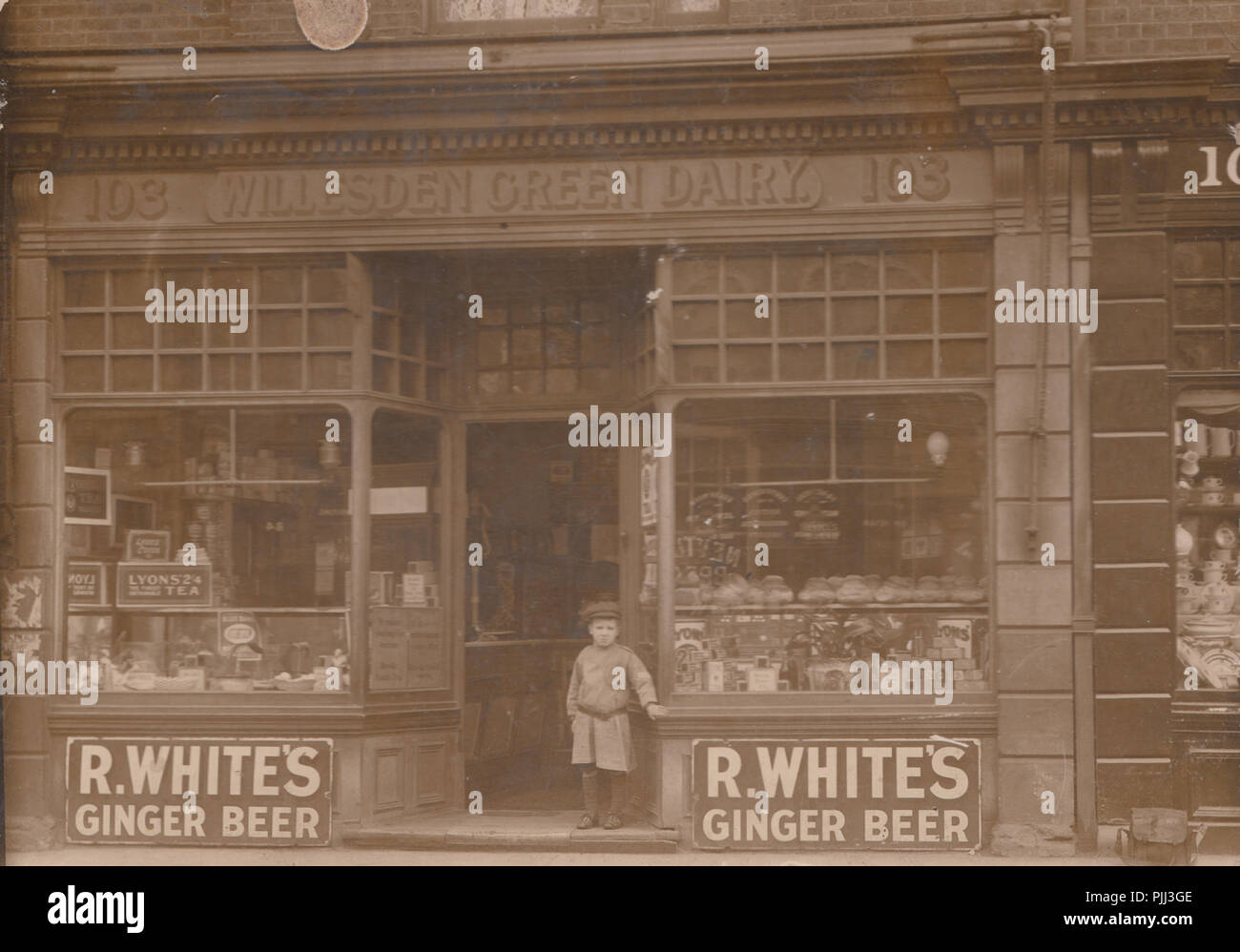 Vintage Fotografia di Willesden Green Dairy Shop al n. 103. Inserzioni per R.bianchi birra allo zenzero Foto Stock