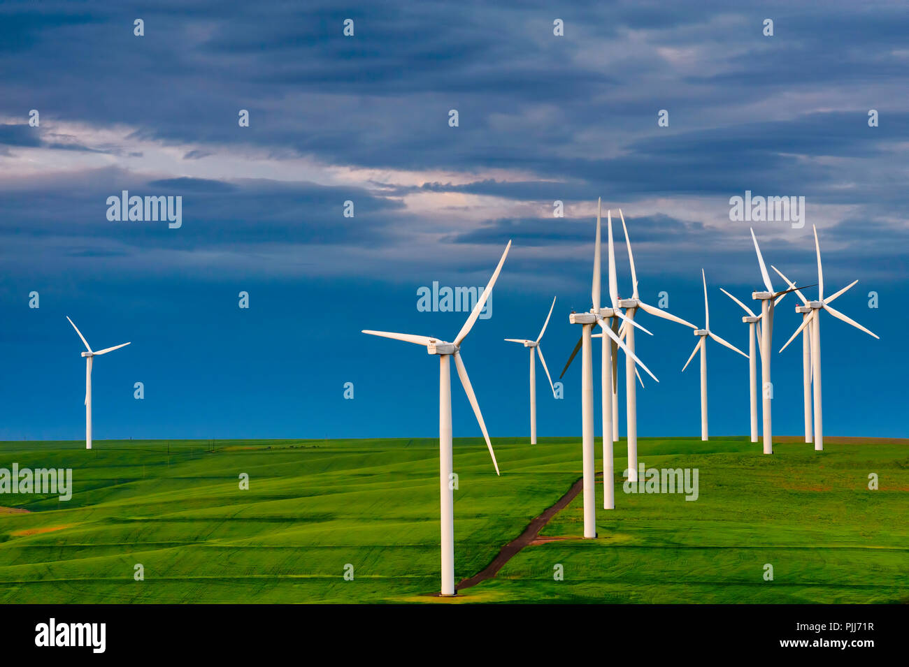 Dawn è luce e cielo nuvoloso imposta lo stato d'animo per il vasto paesaggio di campi di agricoltura e delle turbine a vento nella contea di Wasco, Oregon Foto Stock